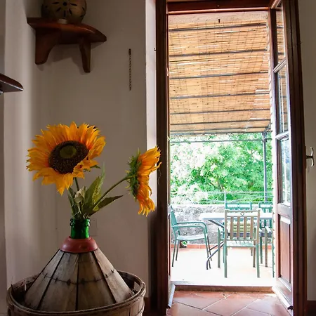 Bea By Mmega Villa Corgna